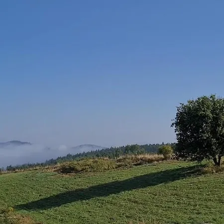 Lesna Kotlina Klodzka Villa *