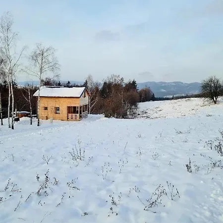 Lesna Kotlina Klodzka Villa