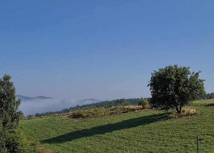 Leśna Kotlina Kłodzka Willa *